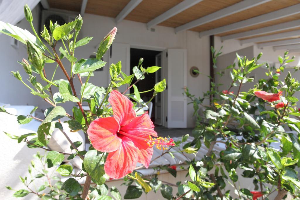 Villa Sea Rose Lipari  Habitación foto